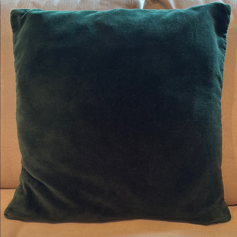 Plush Dark Green Velvet Pillowcase with zipper closure, IKEA